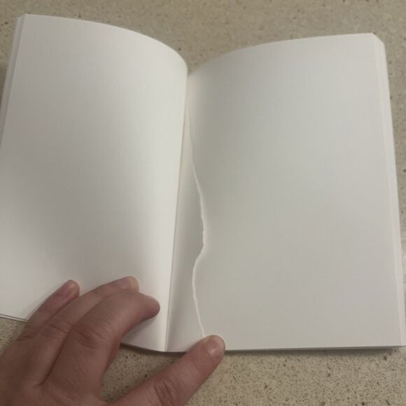 Softcover Blank Journal 5x7 Frances Stark, Why Should You Not  2008 Blank Pages - Picture 5 of 5